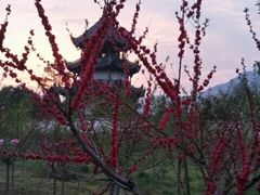 -汉堡王(金鹰天地广场店)