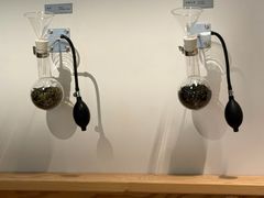 -喜茶(北京财富购物中心店)