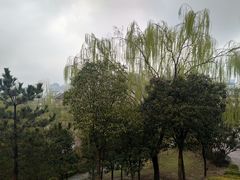 -西安青龙寺遗址景区