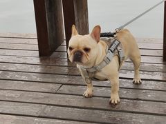 -天鹅湖体育公园