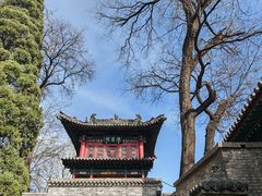-晋祠公园