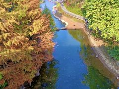 -广州市帽峰山景区