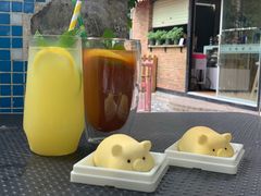 -柴犬高等学院·狗咖·柴犬售卖·宠物训练