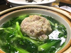 -丁老爷子苏香圆