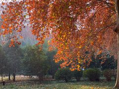 -河南省黄河迎宾馆