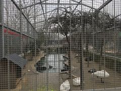 -水绘园