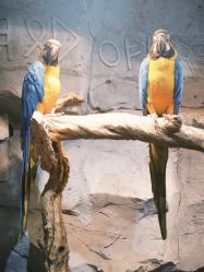 -Zoolung Zoolung动物主题公园(海信广场店)