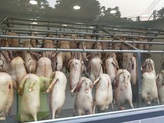 -粥旺庄(芳村店)