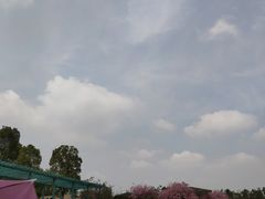 -秀丽东方