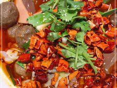 -新吉士·上海菜(浦东LCM置汇旭辉店)