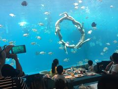 -瑞德姆美人鱼海底演艺主题餐厅(亚龙湾店)