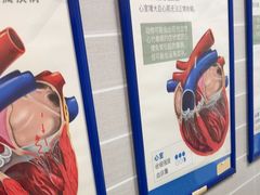 -芭比堂动物医院·心脏科·老年急重症·夜诊·吉雅分院