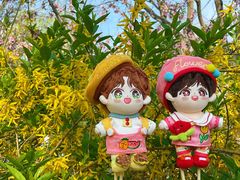 -桃花堤公园