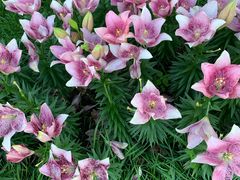 -长春公园(普阳街道)