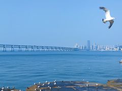 -星海广场