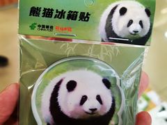 -熊猫邮局(少城店)