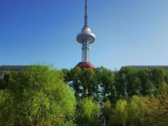 -龙塔
