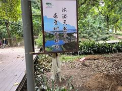 -张坝桂圆林公园