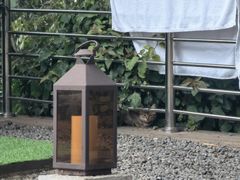 -七彩云南古滇温泉山庄