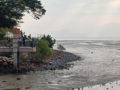 -福田红树林生态公园