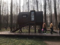 -黄海国家森林公园