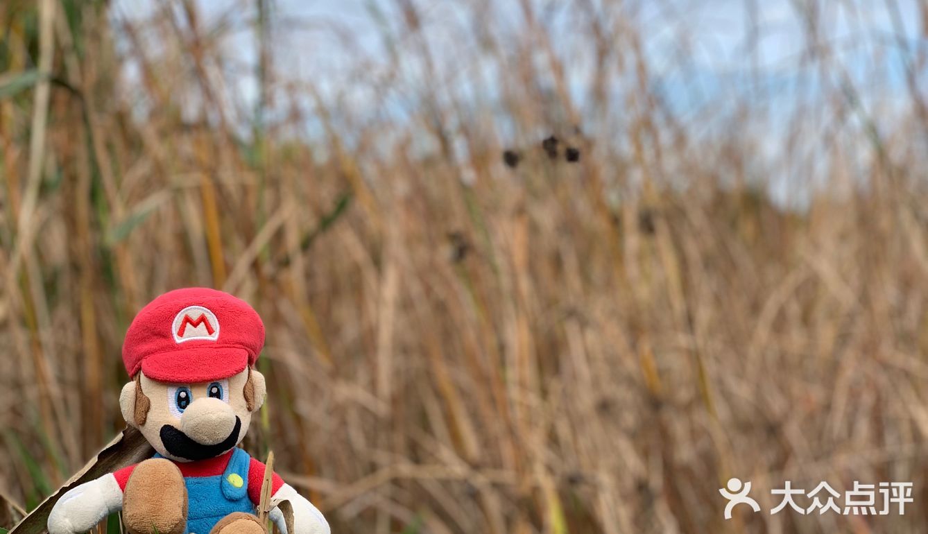 秋游世纪公园（10🈷️篇）