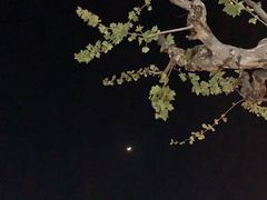 -天下第一面(大雁塔北广场店)