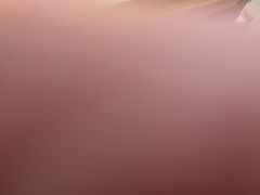 -老刘家永盛斋·传统泡馍(东关南街店)
