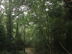 -李冰陵园