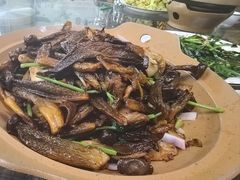 -老家黄墩小错鸡·活海鲜