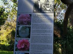 -EG Waterhouse Camellia Gardens Sutherland Shire