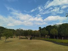 -牛岗山公园