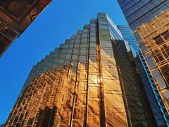 -香港皇家太平洋酒店