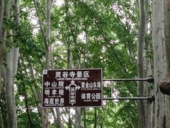 -灵谷景区