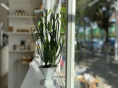 -收获咖啡HARVEST RESERVE(苍山店)