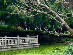 -晓港公园