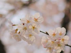 -范蠡湖公园