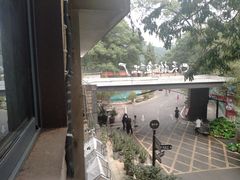 -天怡·鱼工厂(梅溪湖店)