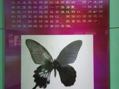 -上海昆虫博物馆