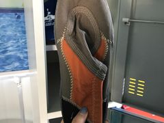 -千岛湖湖人皮划艇俱乐部