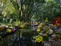 -上海共青森林公园