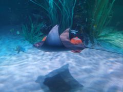 -沈阳海洋探索中心