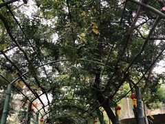 -韶关经律论国际酒店温泉