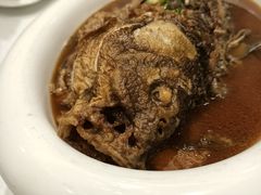 红烧黄河大鲤鱼-金狮麟·新豫菜(金码大厦店)