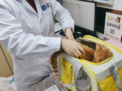 -宠颐生宠物医院·心肾内科·猫专科诊疗中心宠巢店