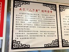 -九斤黄三黄鸡专卖店