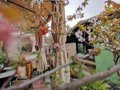 -二荆条·蜀鲜汇城市森林火锅