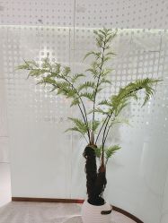 -碧莲盛·脱发养发中心