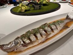 -松鹤楼(狮山永利广场店)