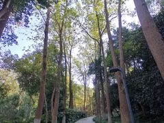 -赭山公园